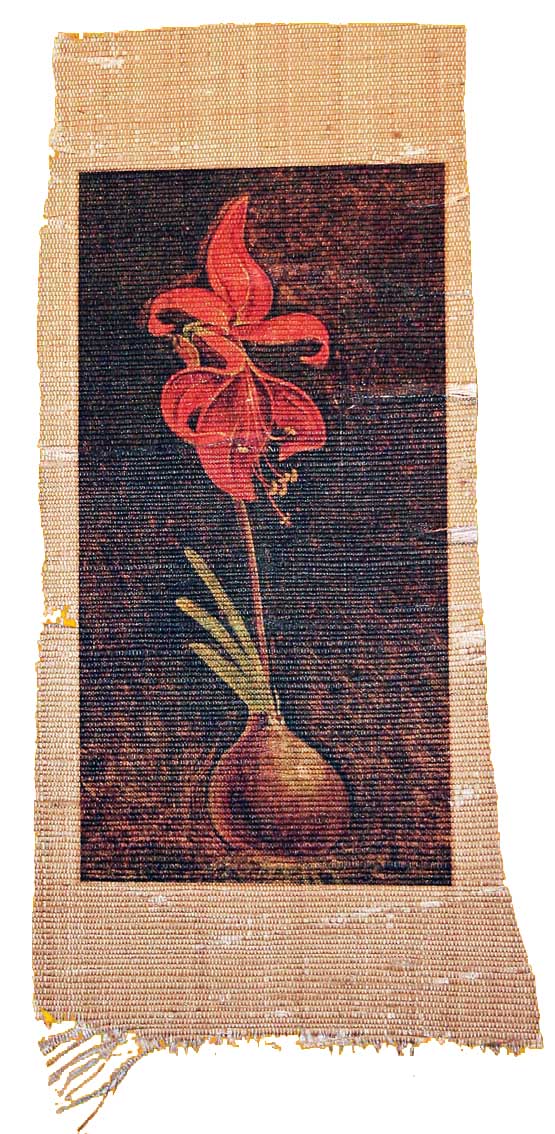 Amaryllis Formosissima (1908 von Philipp Otto Runge)